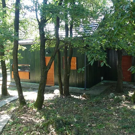 Toelgyes Lak, Palkoeve Kovagoors