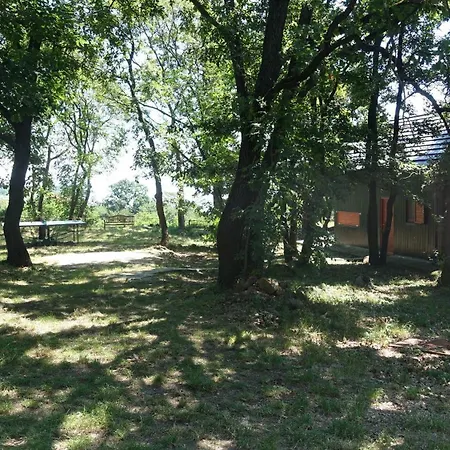 Toelgyes Lak, Palkoeve Holiday home *