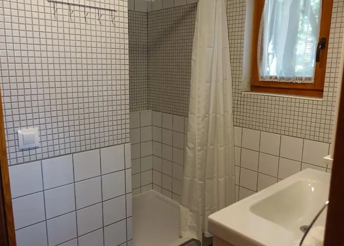 Toelgyes Lak, Palkoeve *