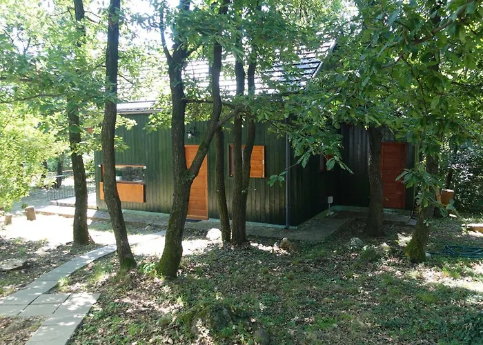 Toelgyes Lak, Palkoeve Kővágóörs